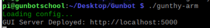 Successful Gunbot startup on ARM device