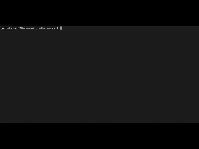 MacOS Installation Step 6: Using PM2 to manage Gunbot process