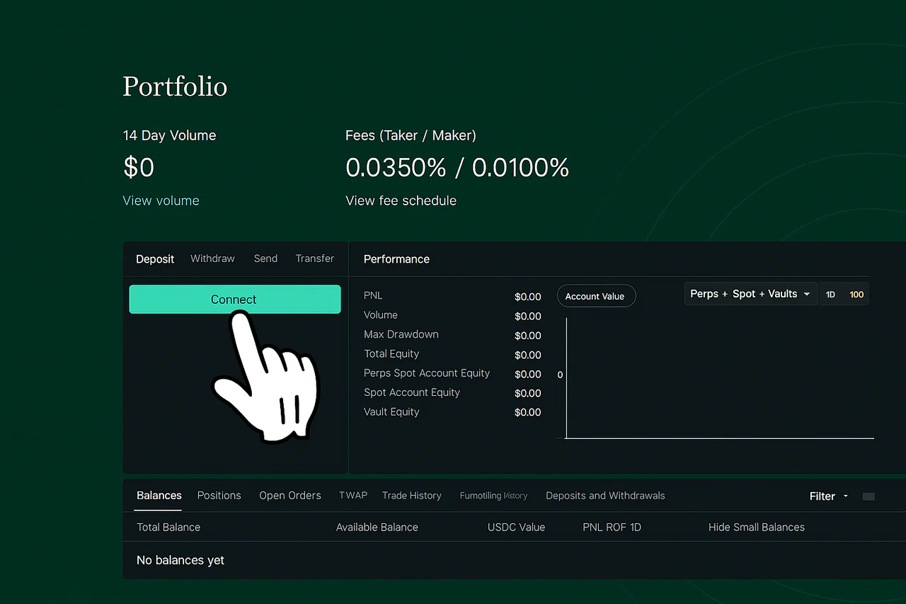 Hyperliquid portfolio screen with Connect button Hyperliquid portfolio connect screen