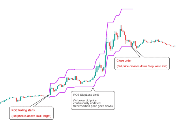 ROE Trailing Example