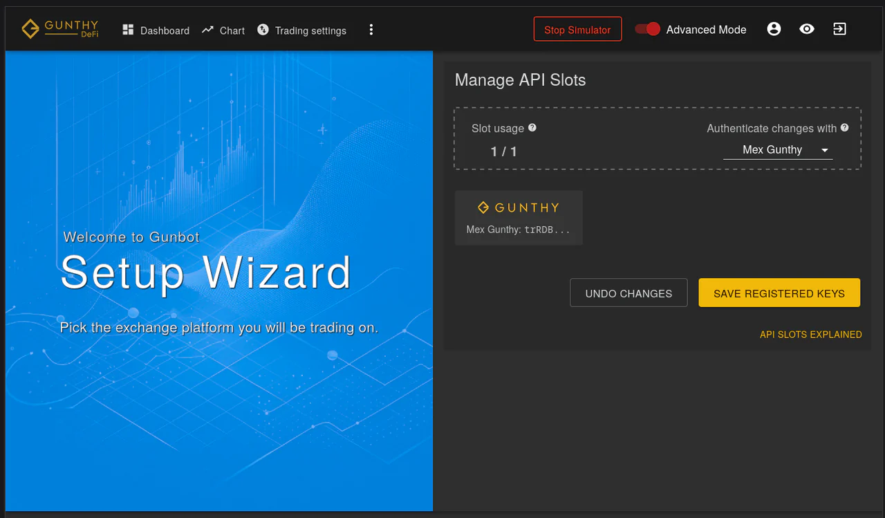 Overview of the Gunbot API slots management interface. Overview of the Gunbot API slots management interface.